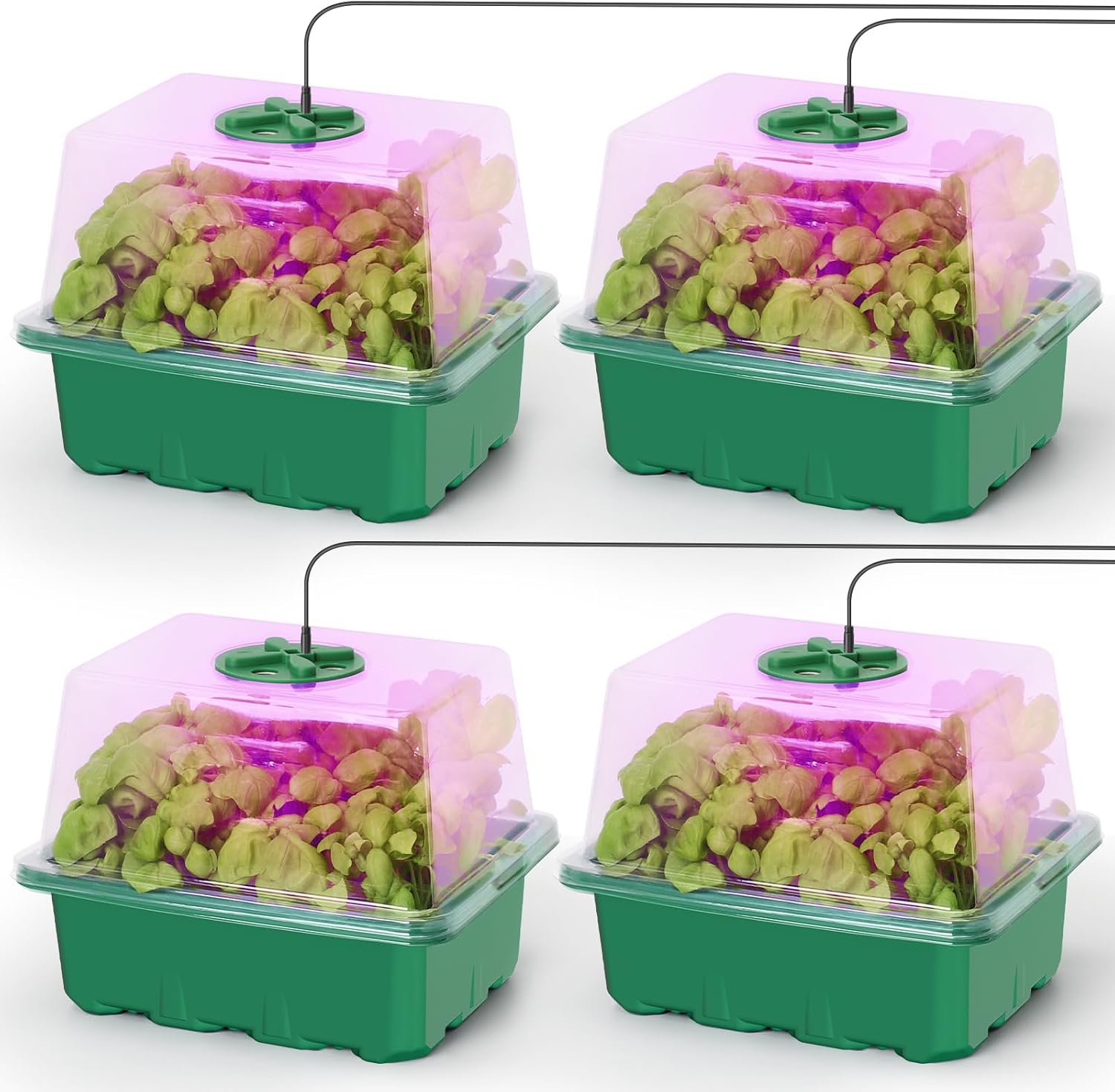 Seed Starter Kit with Grow Lig - Humidity Dome Kit avaliação e preço