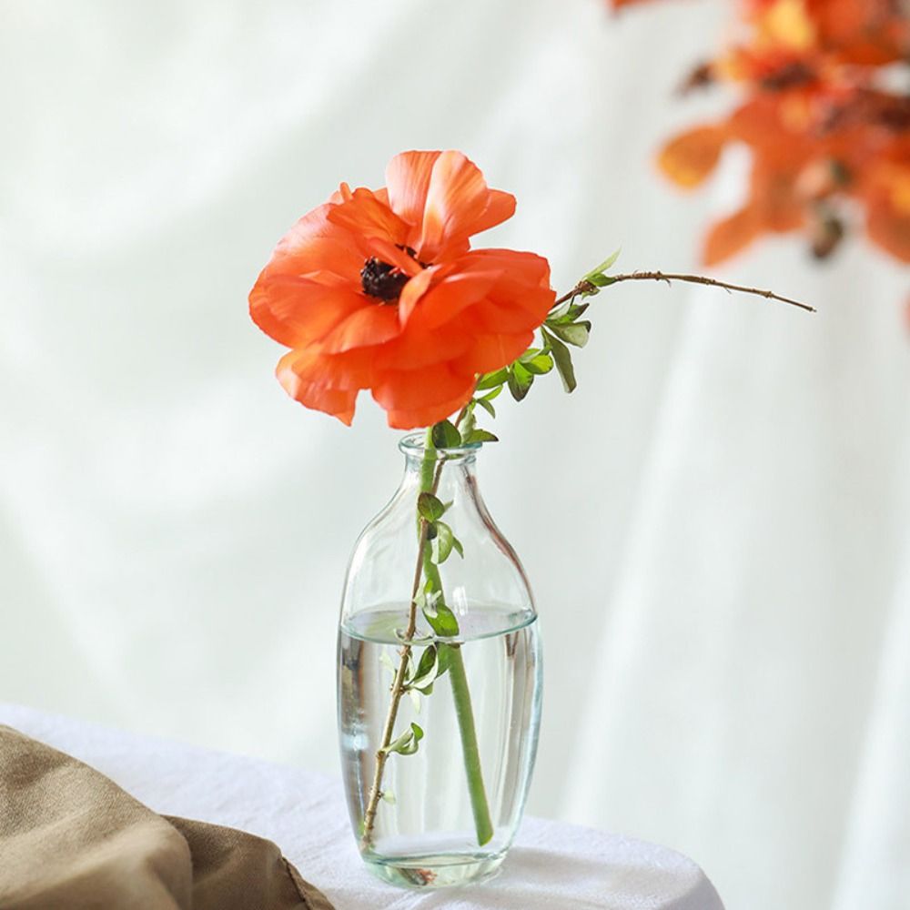 Fashion Retro Flower Vase Glas - Propagation Station Vase avaliação e preço