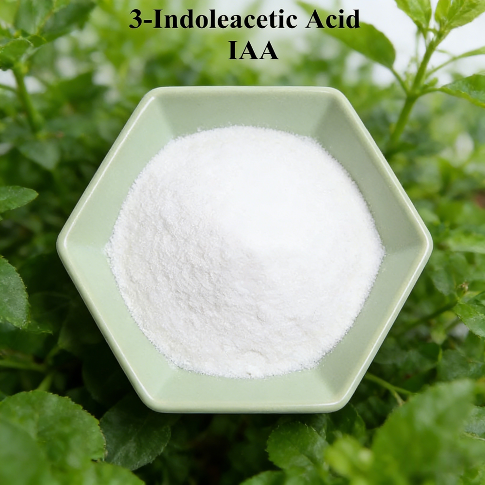 3-indoleacetic Acid IAA Auxina - Rooting Hormone Powder avaliação e preço