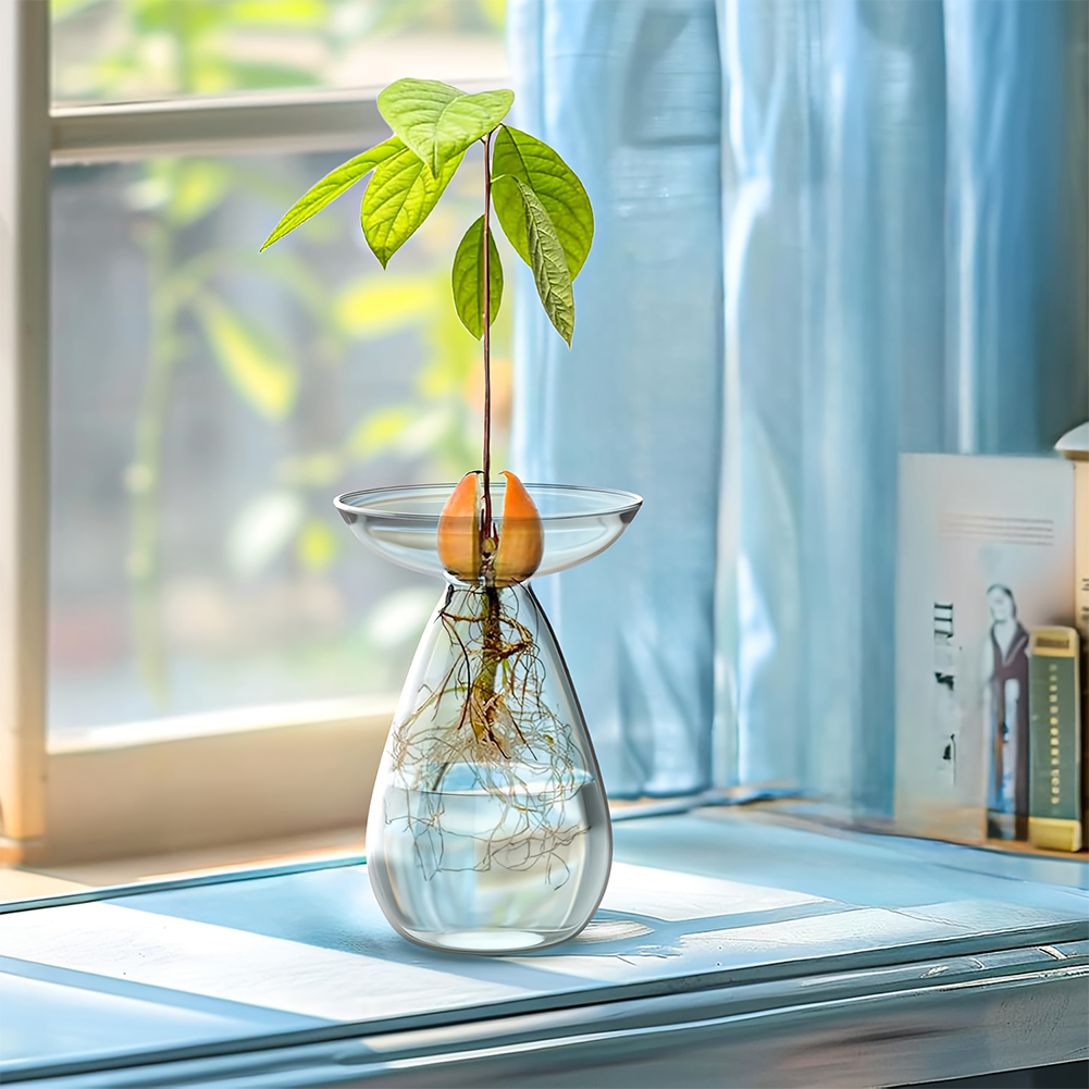 Avocado Seed Starter Vase Tran - Propagation Station Vase avaliação e preço