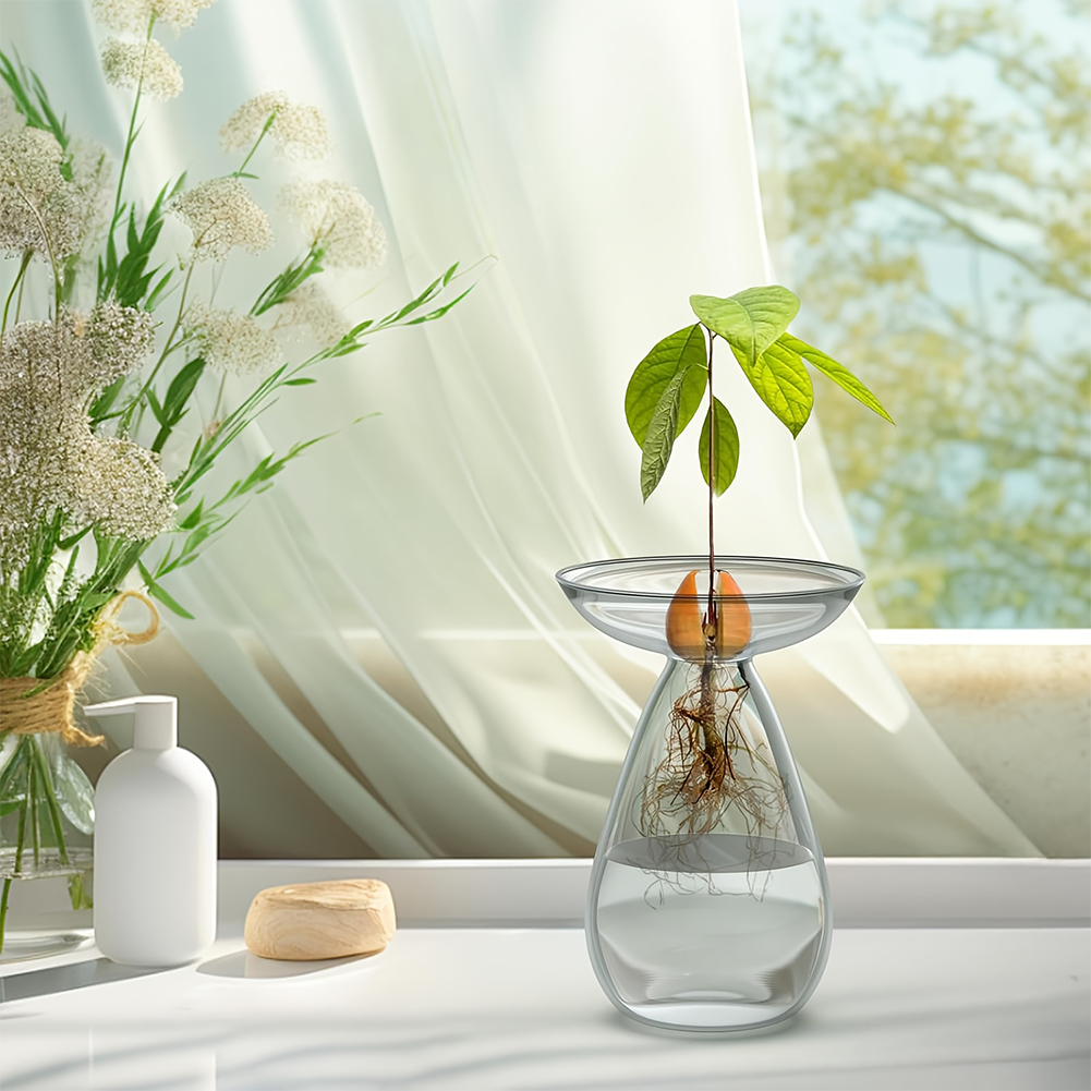 Avocado Seed Starter Vase Tran - Propagation Station Vase avaliação e preço