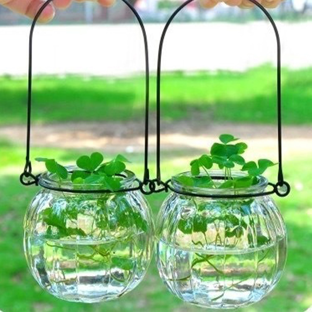 6Pcs Clear Glass Wall Planters - Propagation Station Vase avaliação e preço