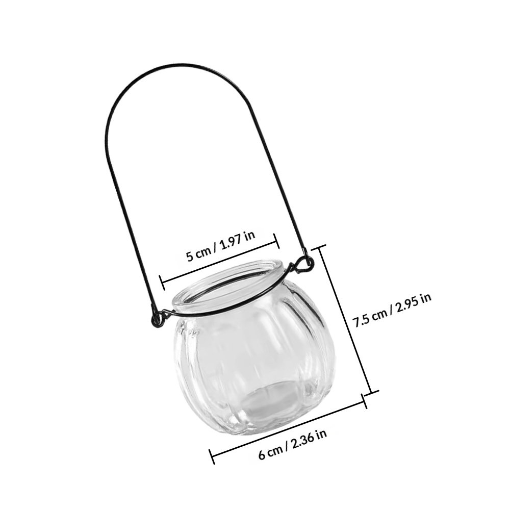 6Pcs Clear Glass Wall Planters - Propagation Station Vase avaliação e preço