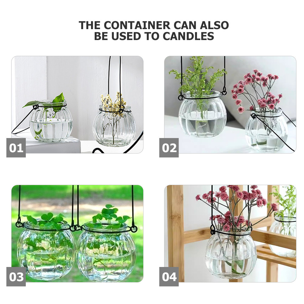 6Pcs Clear Glass Wall Planters - Propagation Station Vase avaliação e preço