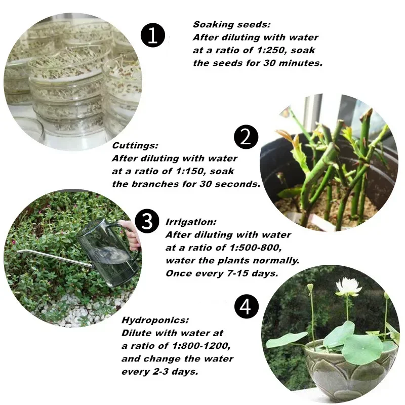 10g Quickly Rooting Powder Hor - Rooting Hormone Powder avaliação e preço