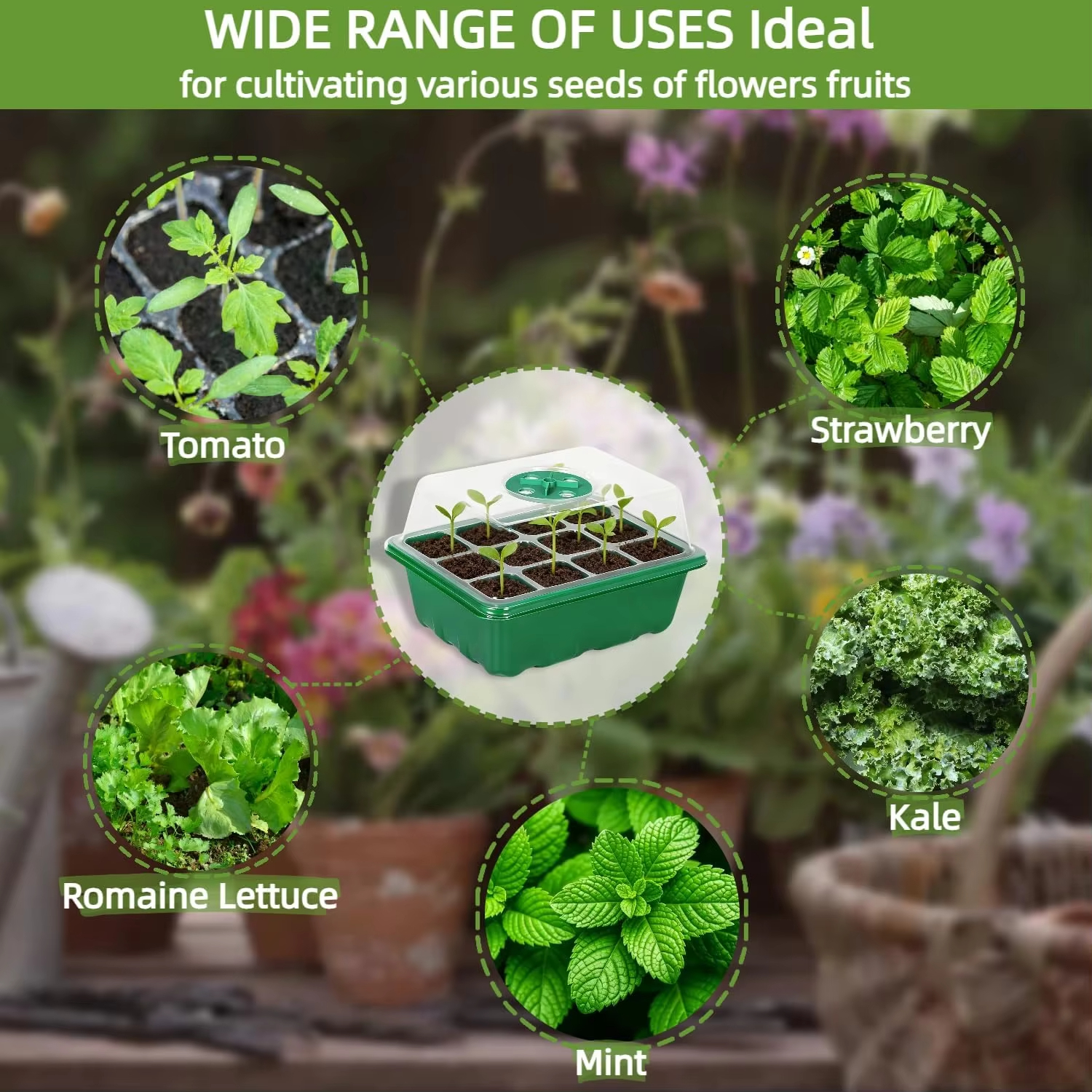3Pcs Seed Starter Tray Mini Gr - Humidity Dome Kit avaliação e preço