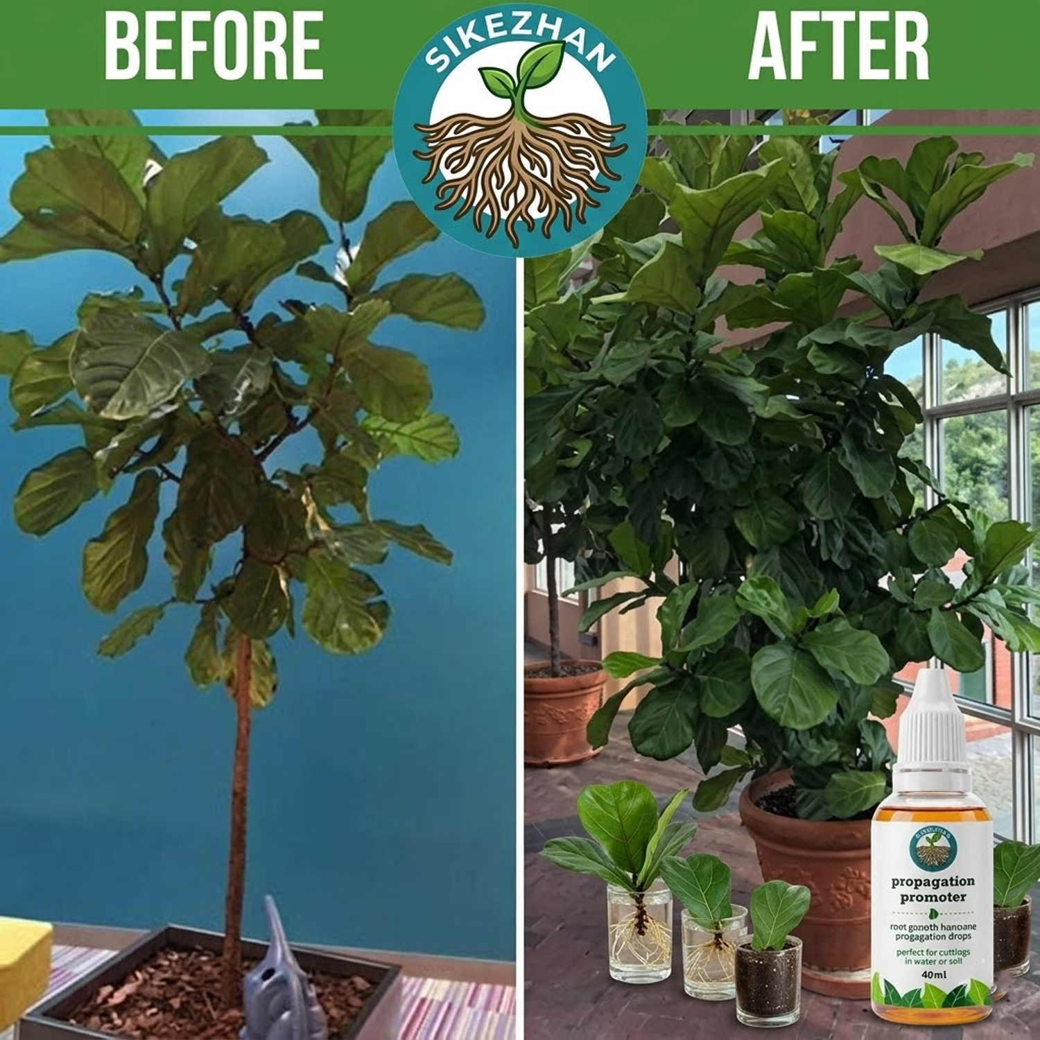 40ml Fast Plant Rooting Liquid - Root Stimulator Liquid avaliação e preço