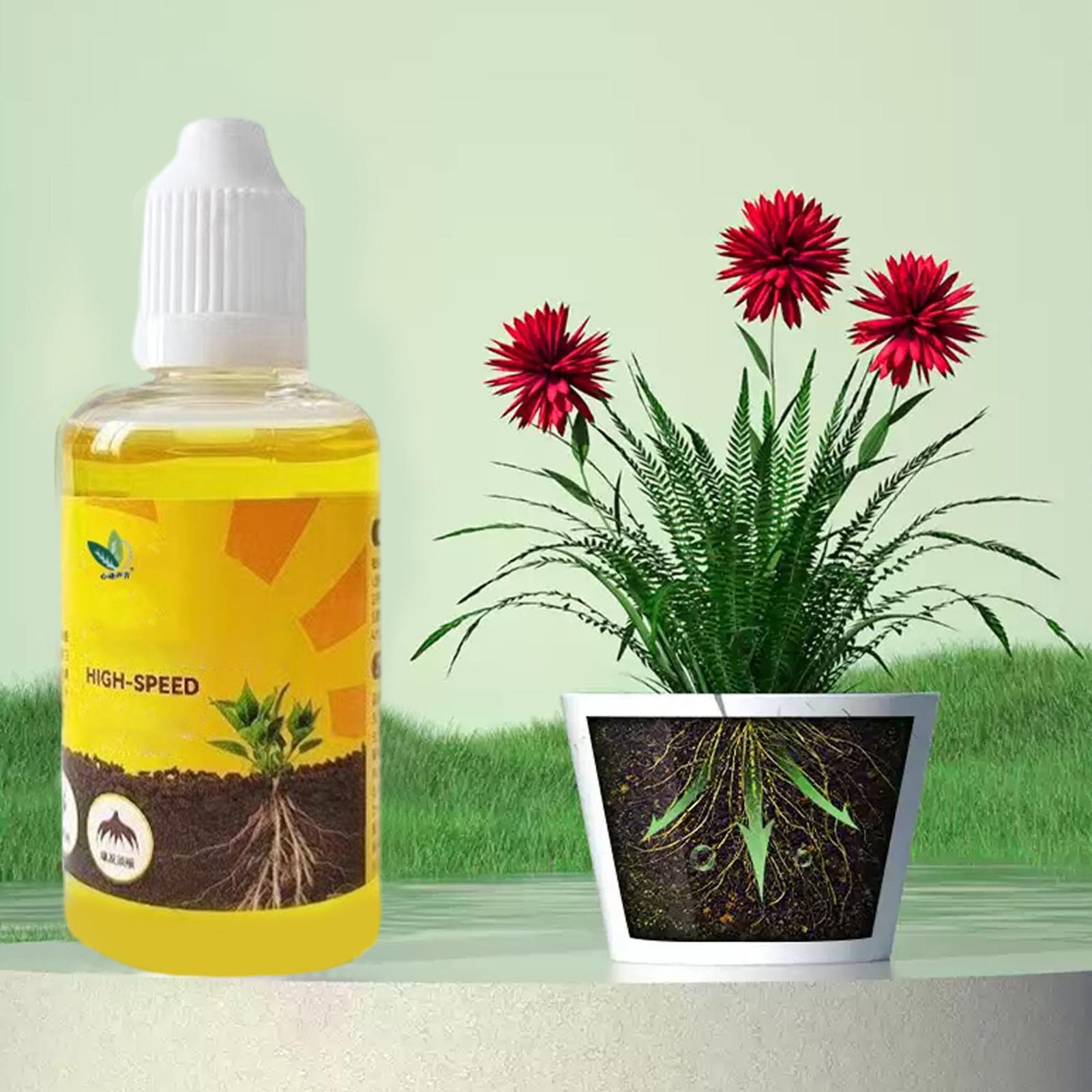 Plant Rapid Rooting Solution 5 - Root Stimulator Liquid avaliação e preço