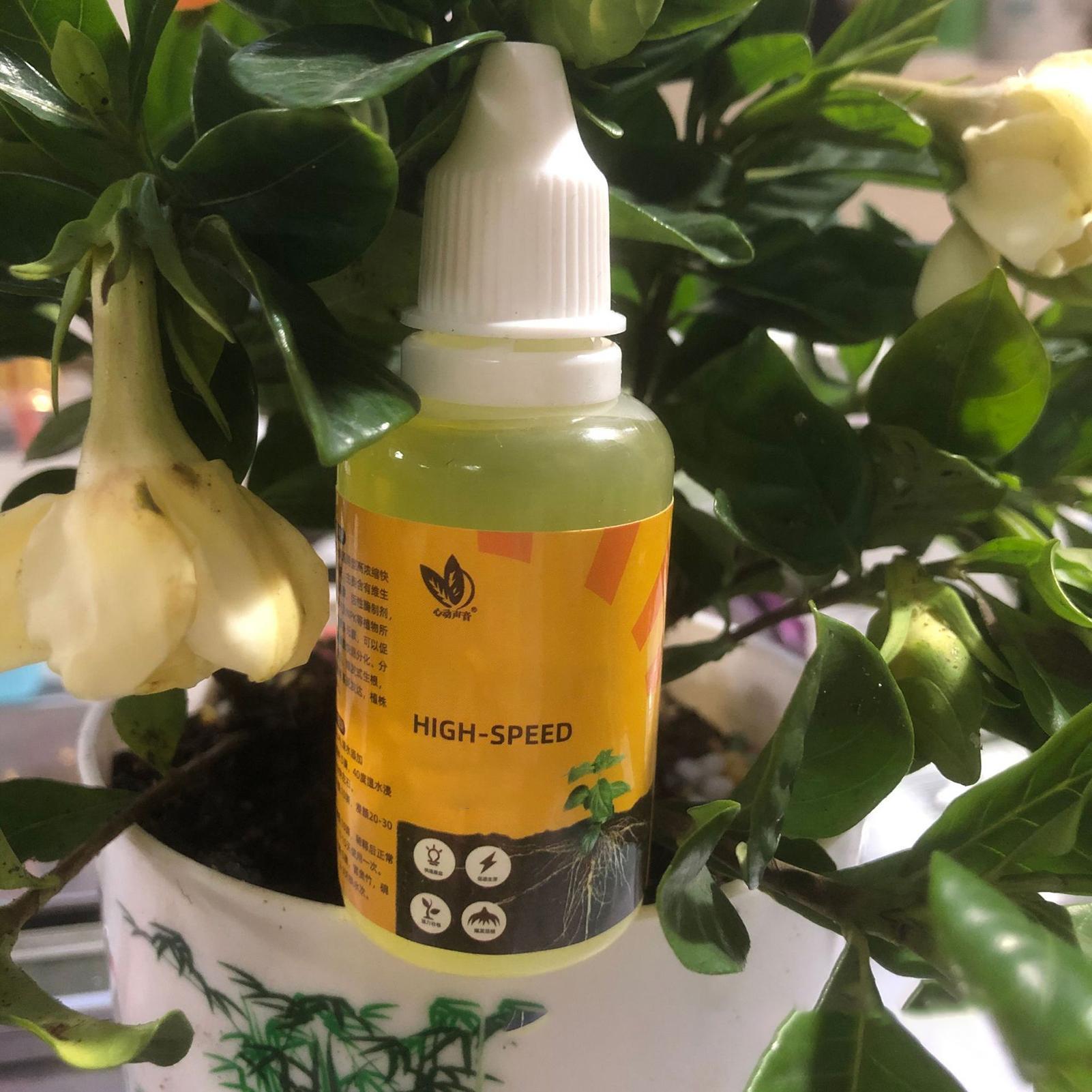 Plant Rapid Rooting Solution 5 - Root Stimulator Liquid avaliação e preço