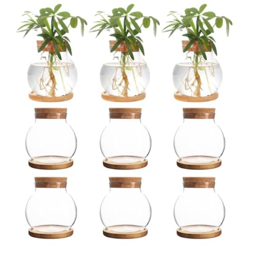 Plant Propagation Station, Hyd - Propagation Station Vase avaliação e preço