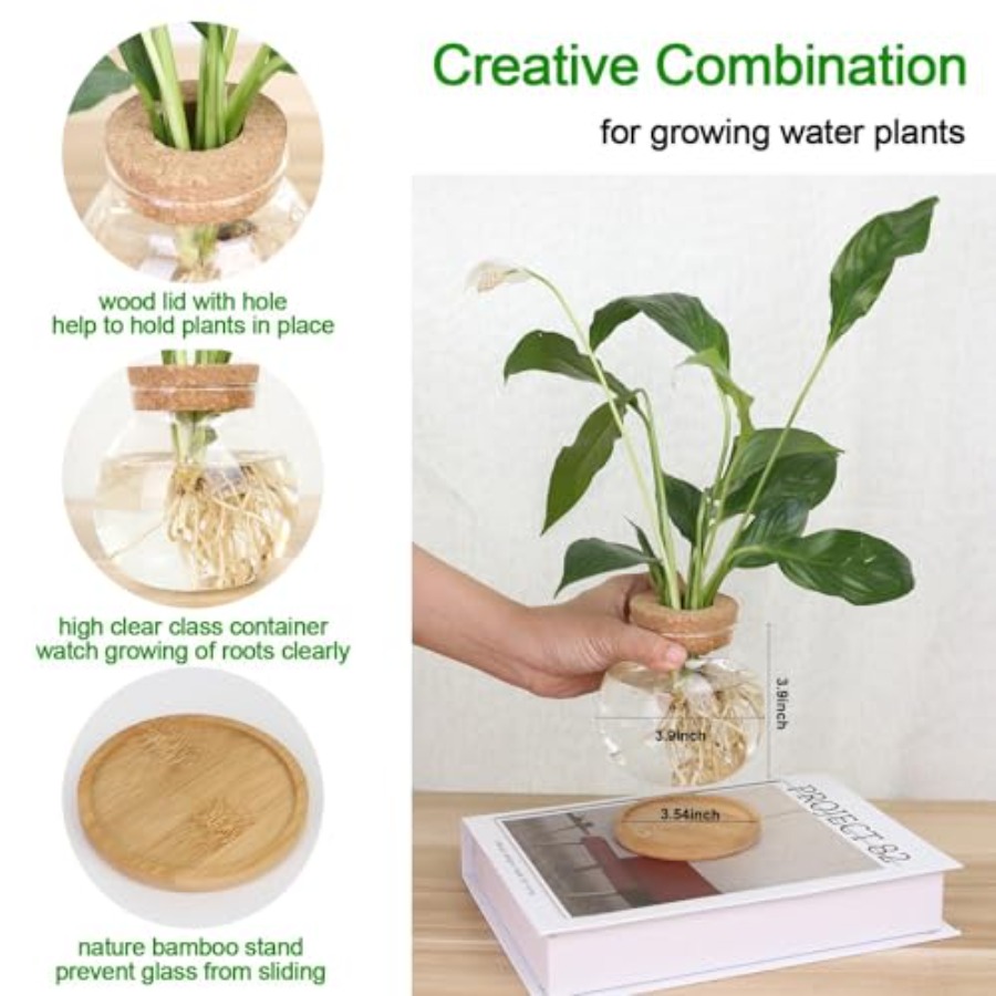 Plant Propagation Station, Hyd - Propagation Station Vase avaliação e preço