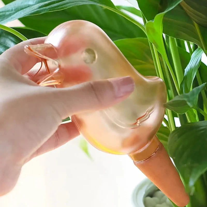 High quality automatic flower  - Self Watering Insert avaliação e preço