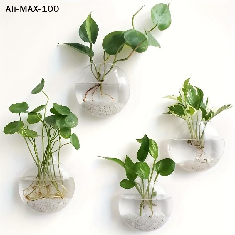 【MA3】Wall Hanging Glass Plant  - Propagation Station Vase avaliação e preço
