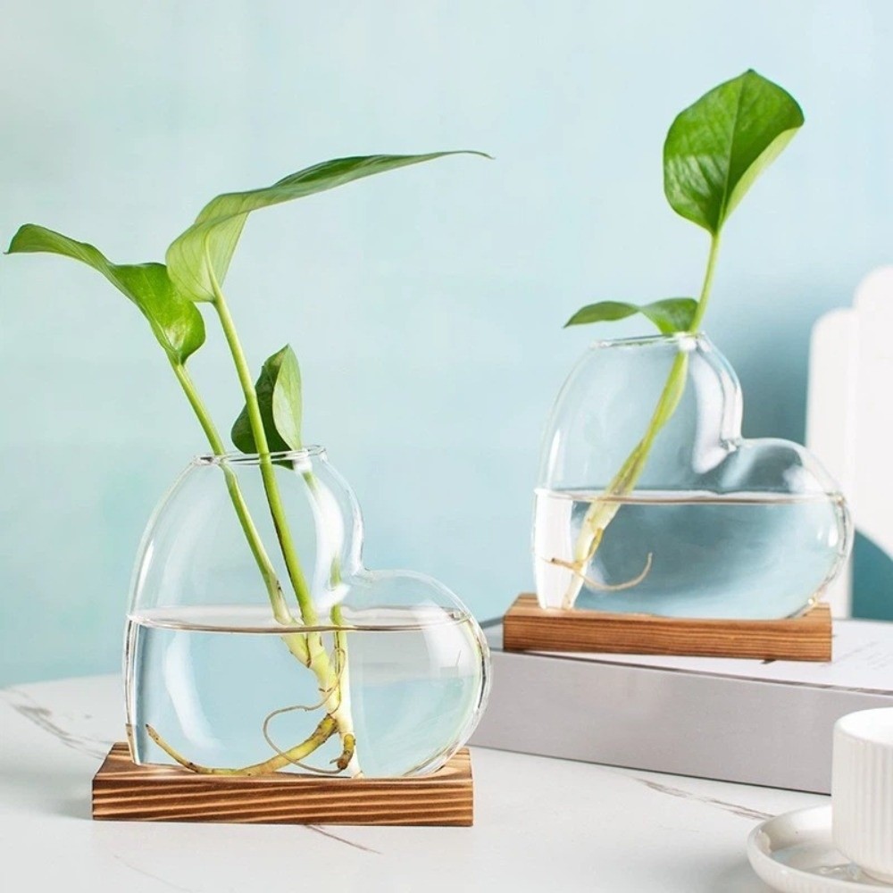 Transparent Hydroponic Glass V - Propagation Station Vase avaliação e preço
