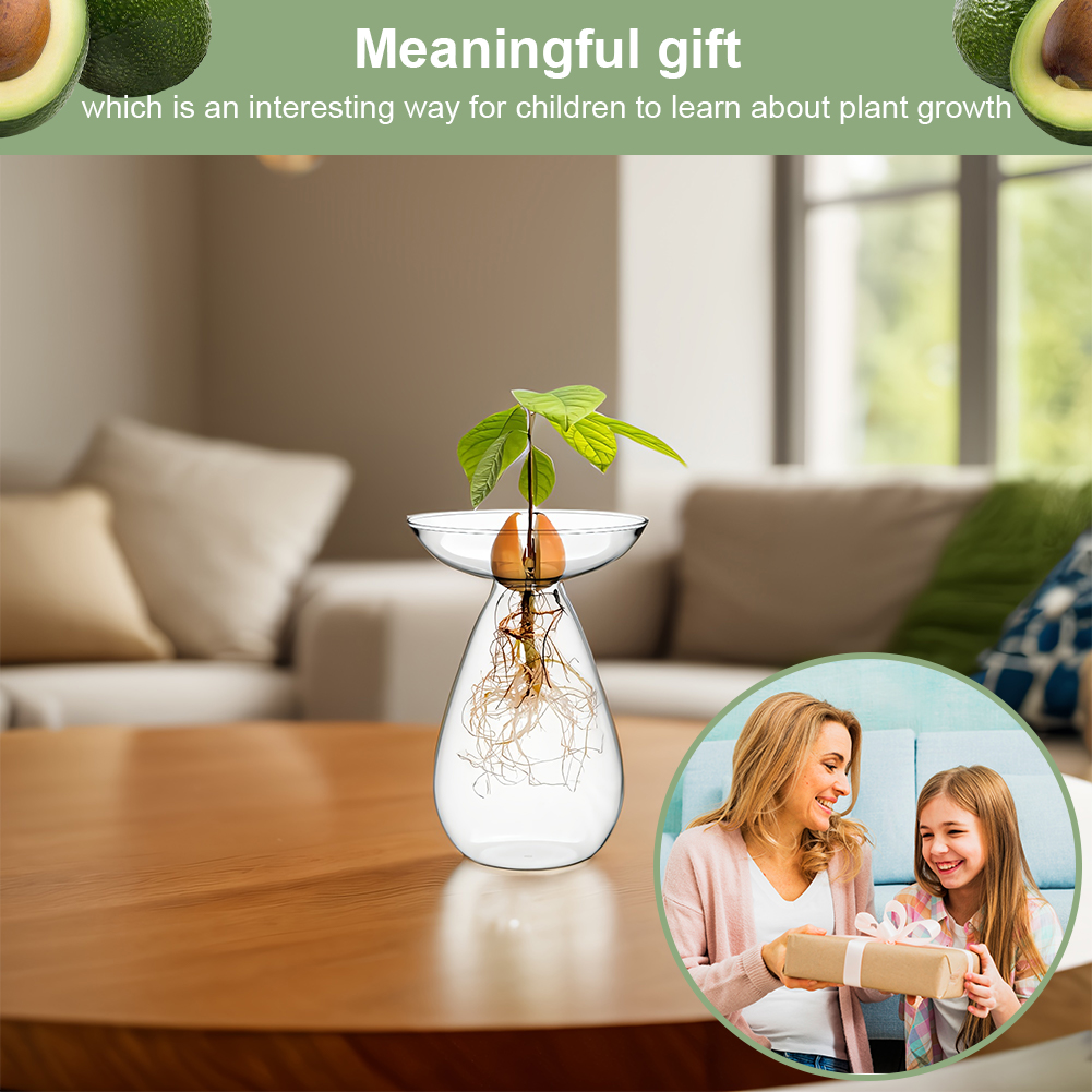 Avocado Seed Starter Vase Tran - Propagation Station Vase avaliação e preço