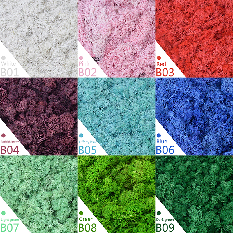 40/20g Artificial Moss Grass G - Sphagnum Moss Dry avaliação e preço