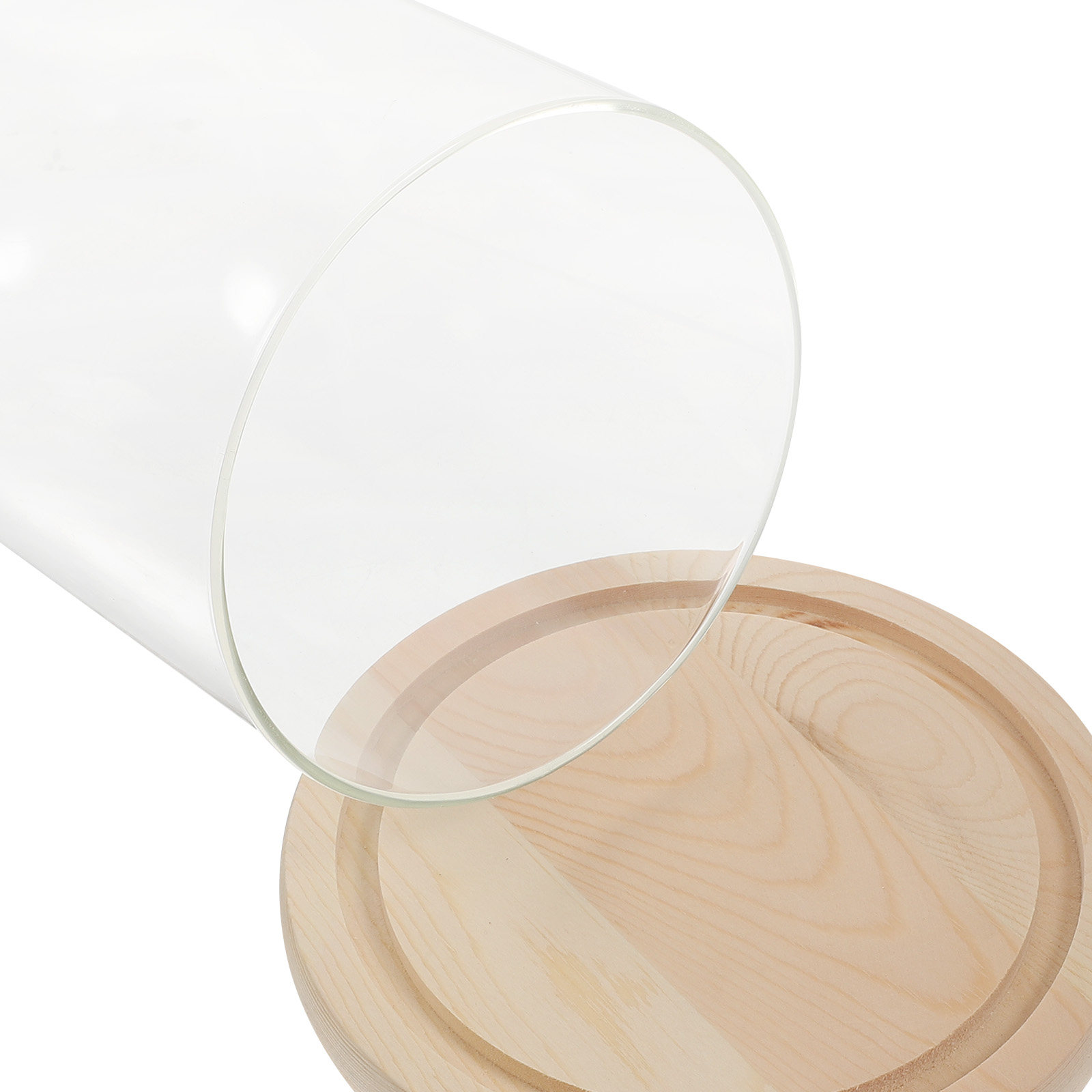Glass Dome Display Case with B - Plastic Dome Clear avaliação e preço