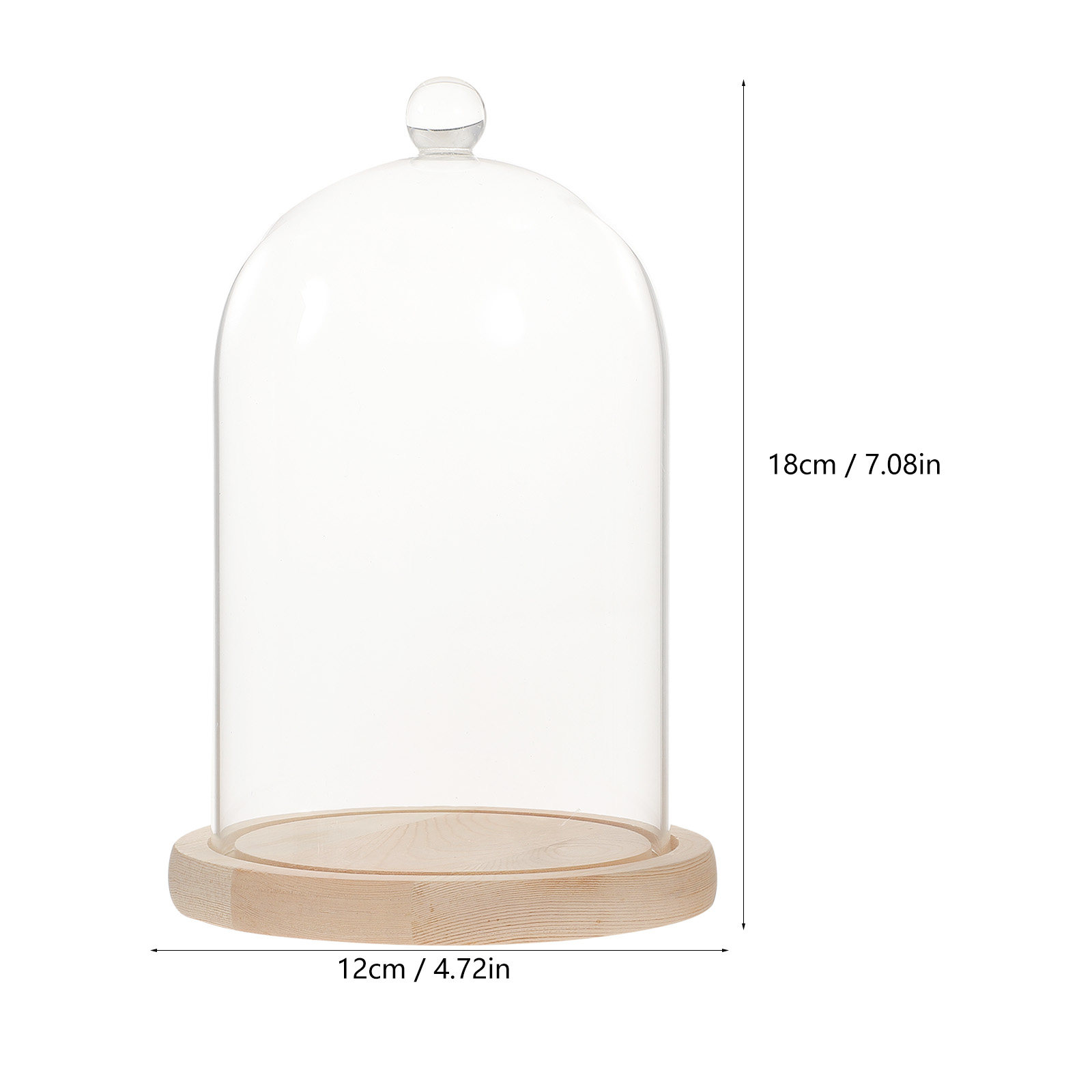 Glass Dome Display Case with B - Plastic Dome Clear avaliação e preço